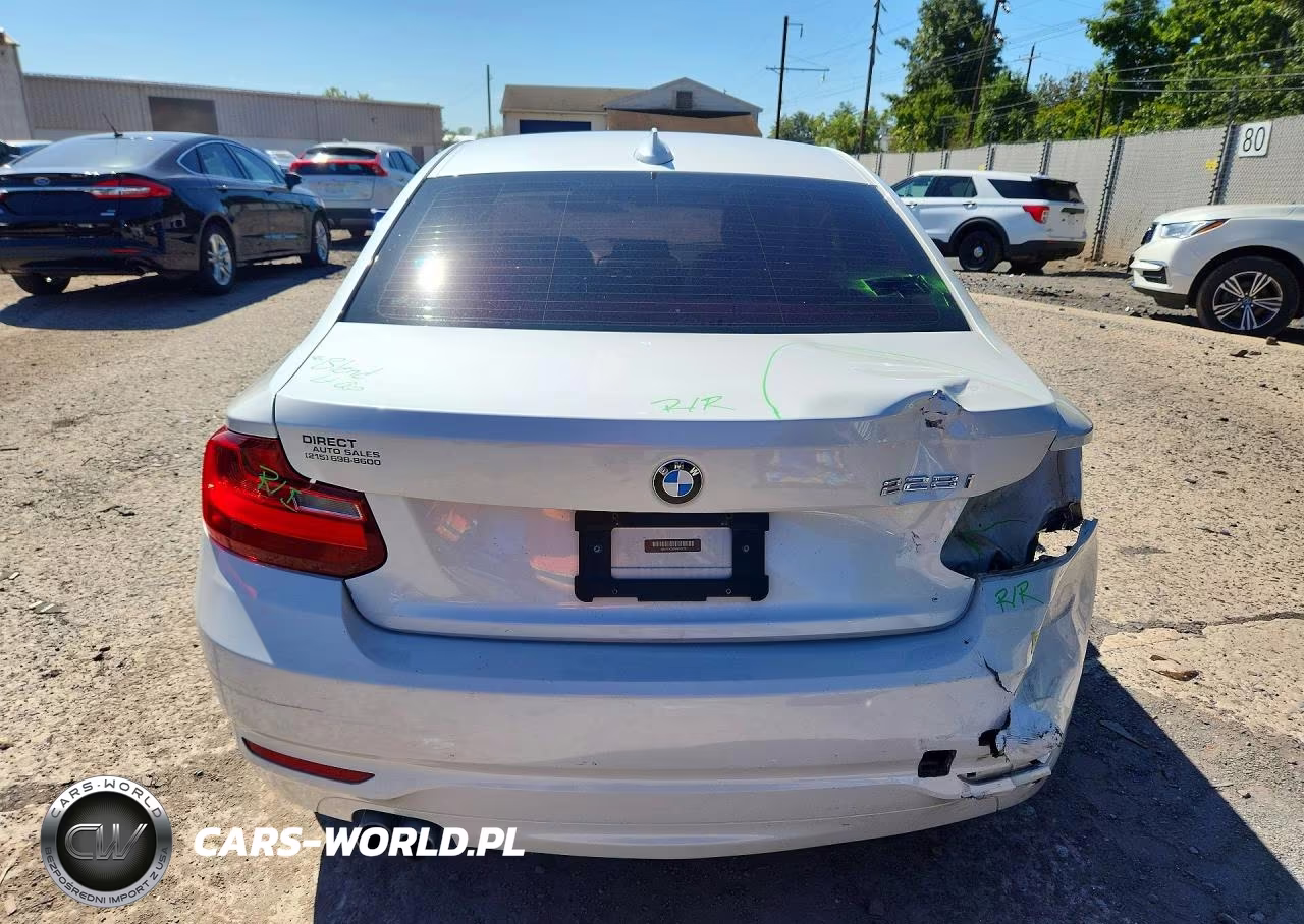 2015 BMW 228 I Sulev VIN:WBA1F9C52FVW98778 - 6