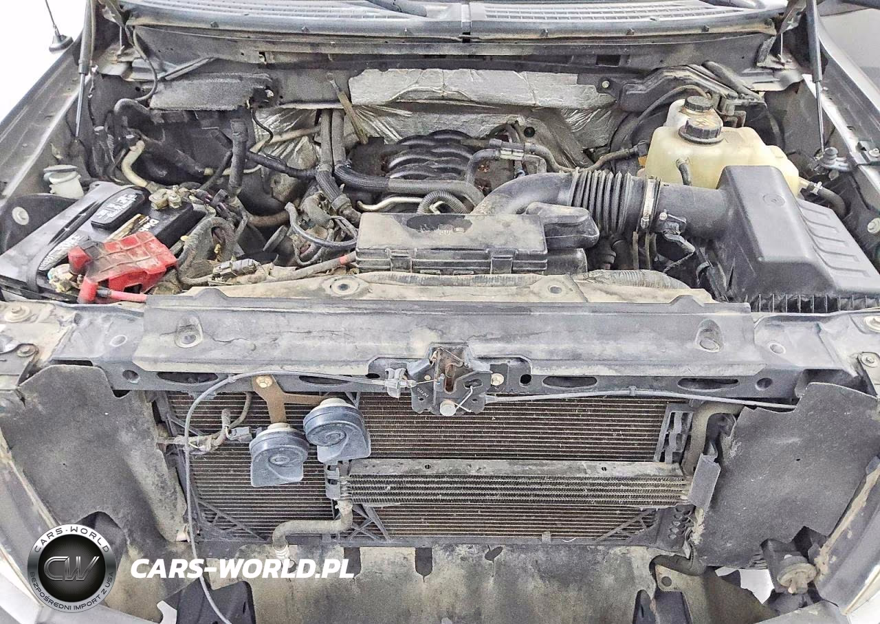 2011 Ford F150 Supercrew VIN:1FTFW1EF4BFC19846 - 11