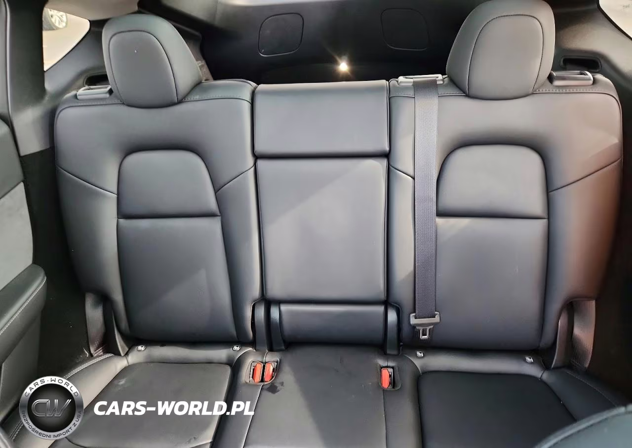 2023 Tesla Model Y VIN:7SAYGDEEXPF706952 - 10