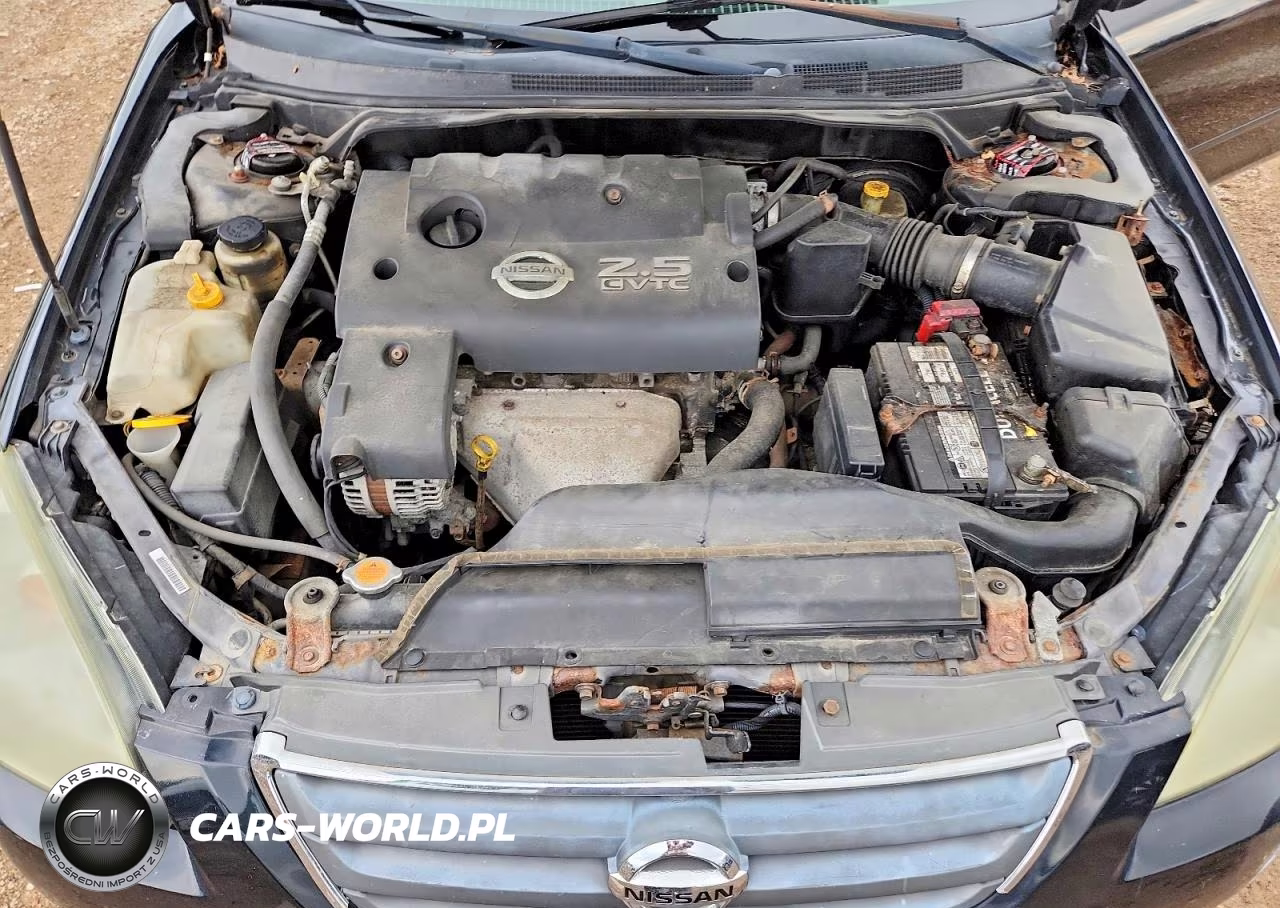 2002 Nissan Altima 2.5 VIN:1N4AL11D02C133206 - 11