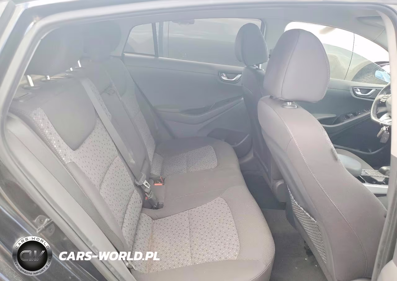 2018 Hyundai Ioniq Electric Base VIN:KMHC75LH4JU028980 - 10