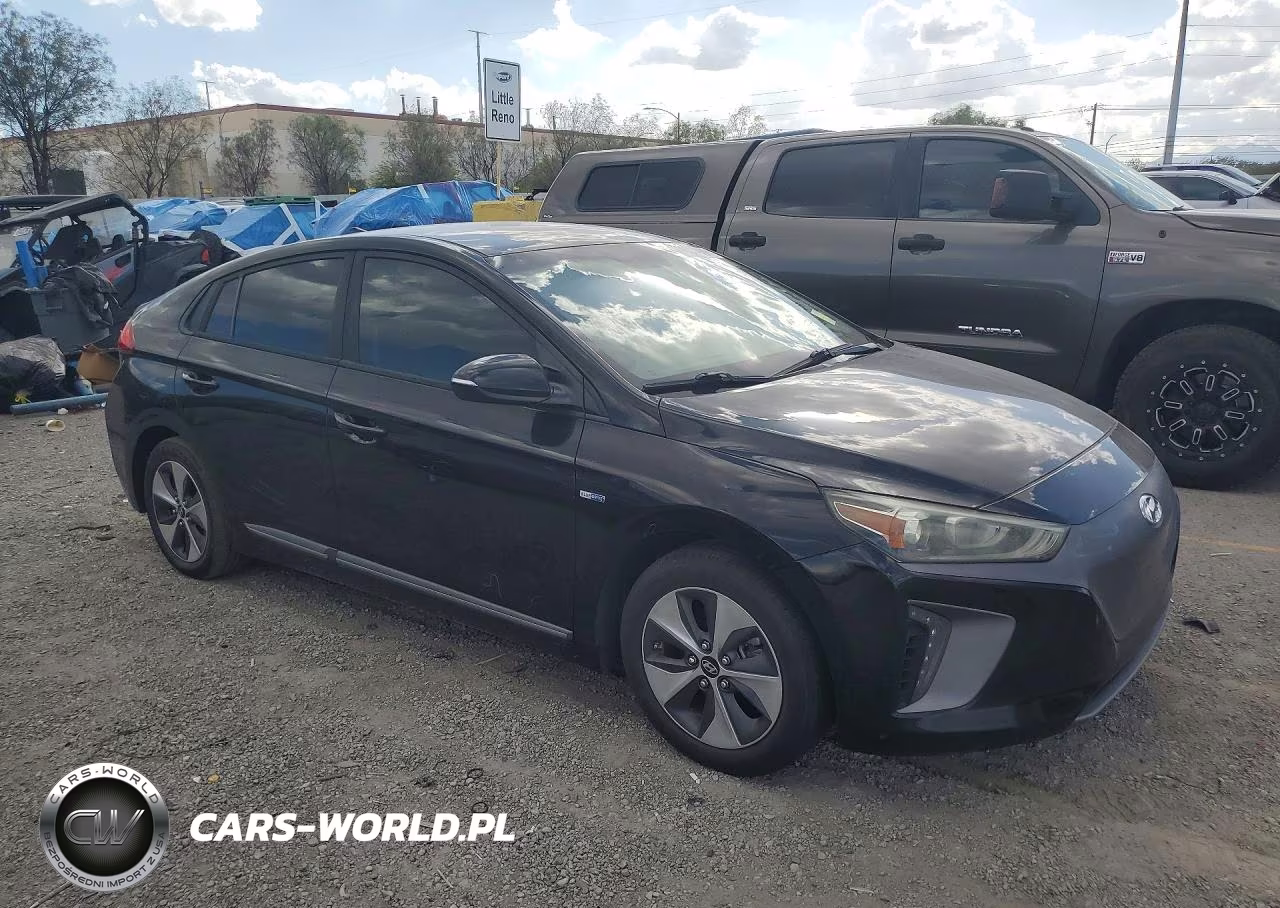 2018 Hyundai Ioniq Electric Base VIN:KMHC75LH4JU028980 - 4