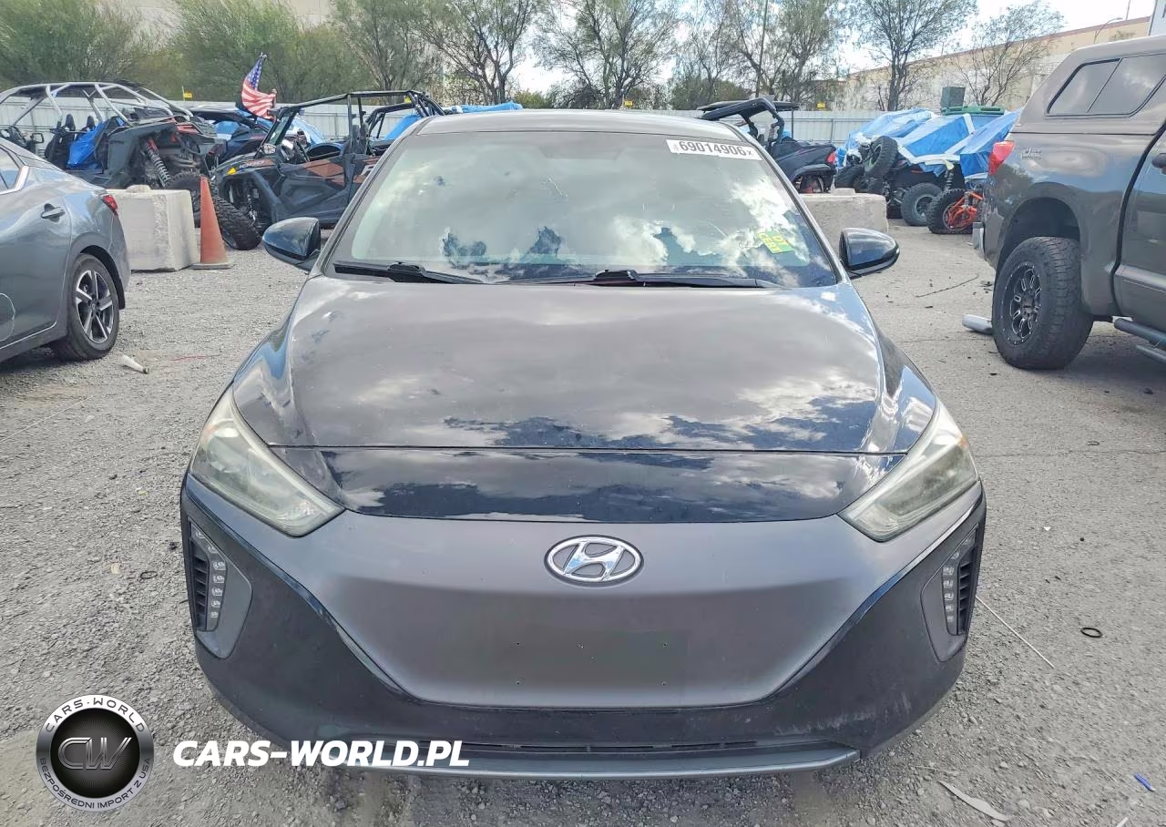2018 Hyundai Ioniq Electric Base VIN:KMHC75LH4JU028980 - 5