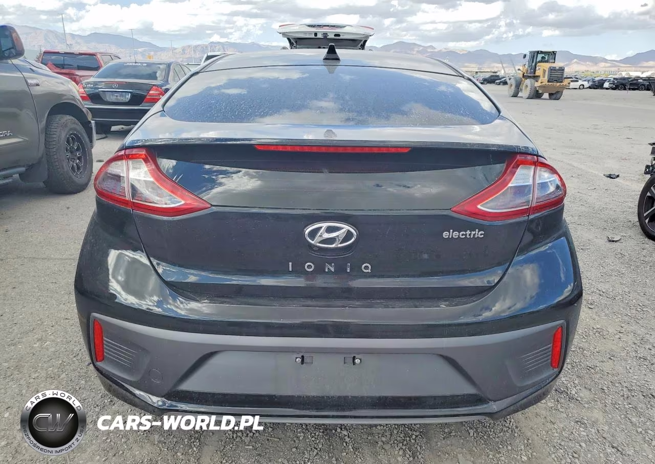 2018 Hyundai Ioniq Electric Base VIN:KMHC75LH4JU028980 - 6