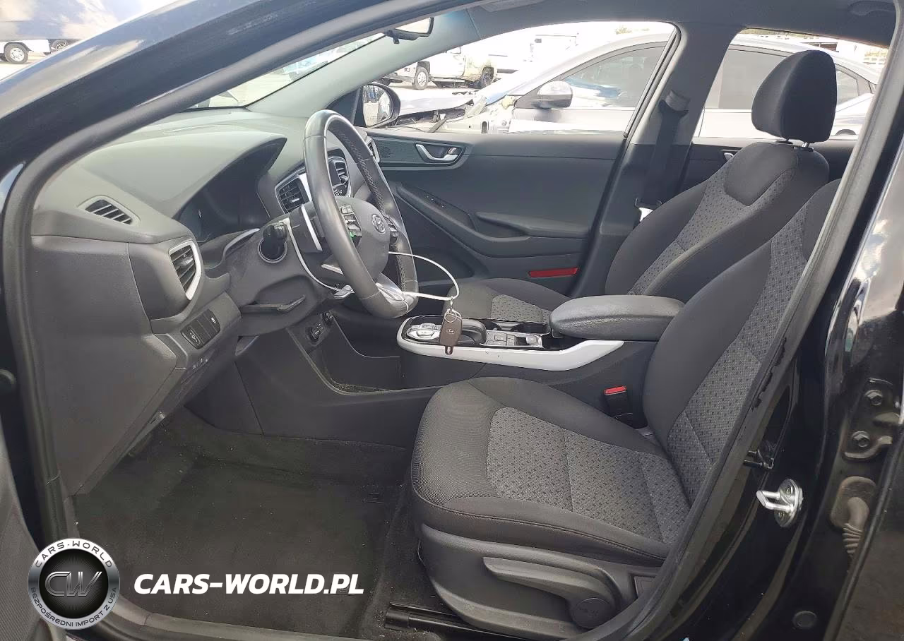 2018 Hyundai Ioniq Electric Base VIN:KMHC75LH4JU028980 - 7