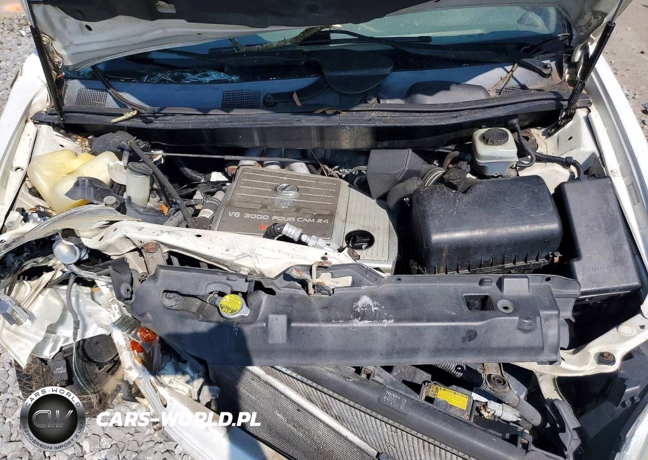 2002 Lexus Rx 300 VIN:JTJHF10U220261298 - 12