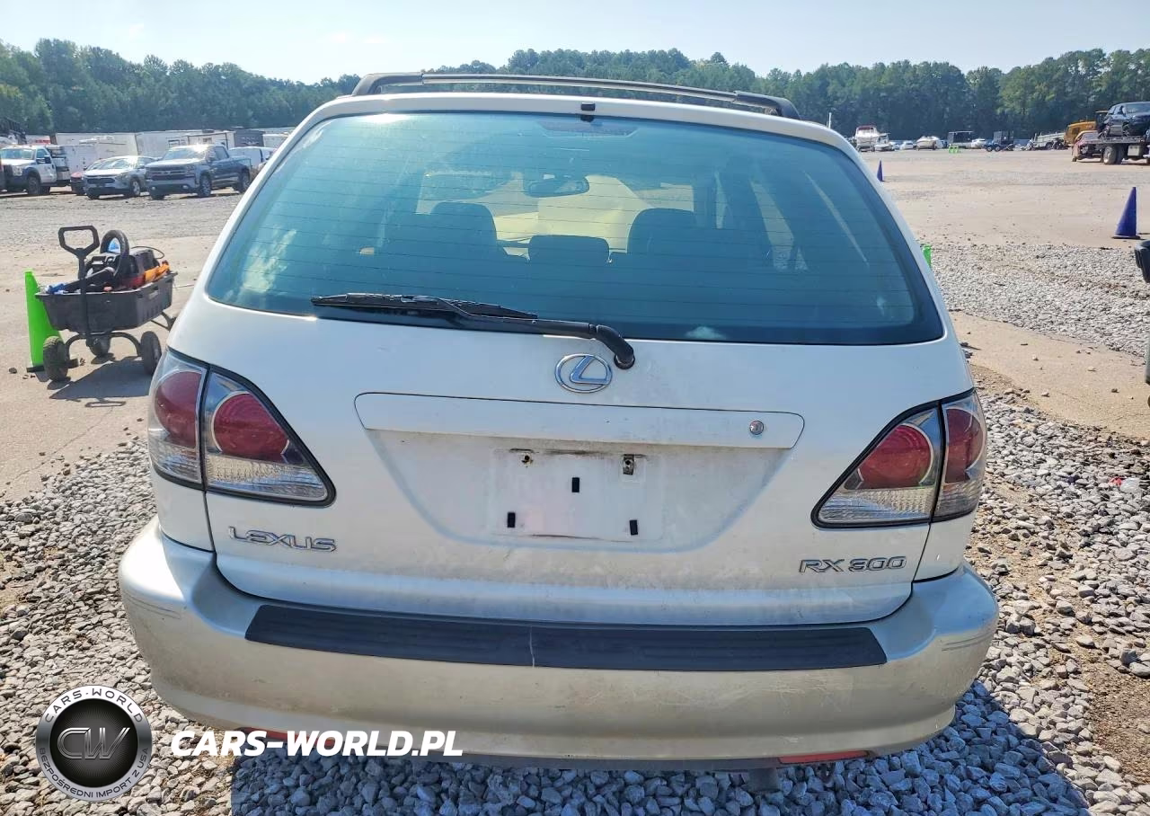 2002 Lexus Rx 300 VIN:JTJHF10U220261298 - 6