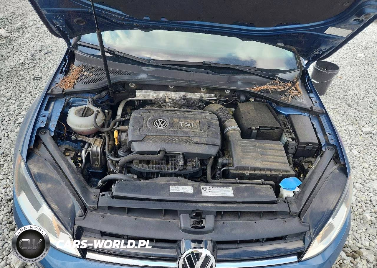 2017 Volkswagen Golf S VIN:3VW217AU6HM007816 - 11