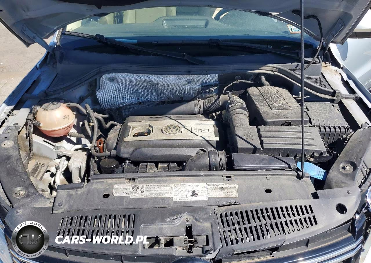2013 Volkswagen Tiguan S VIN:WVGBV7AX5DW510955 - 12