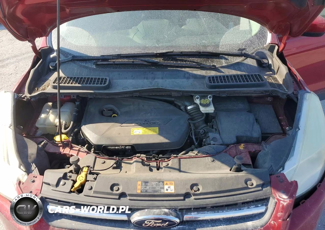 2014 Ford Escape Se VIN:1FMCU0GX9EUA75330 - 12