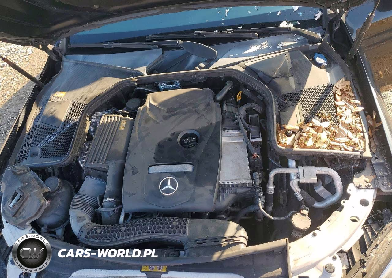 2016 Mercedes-Benz C 300 VIN:55SWF4JB8GU161867 - 11
