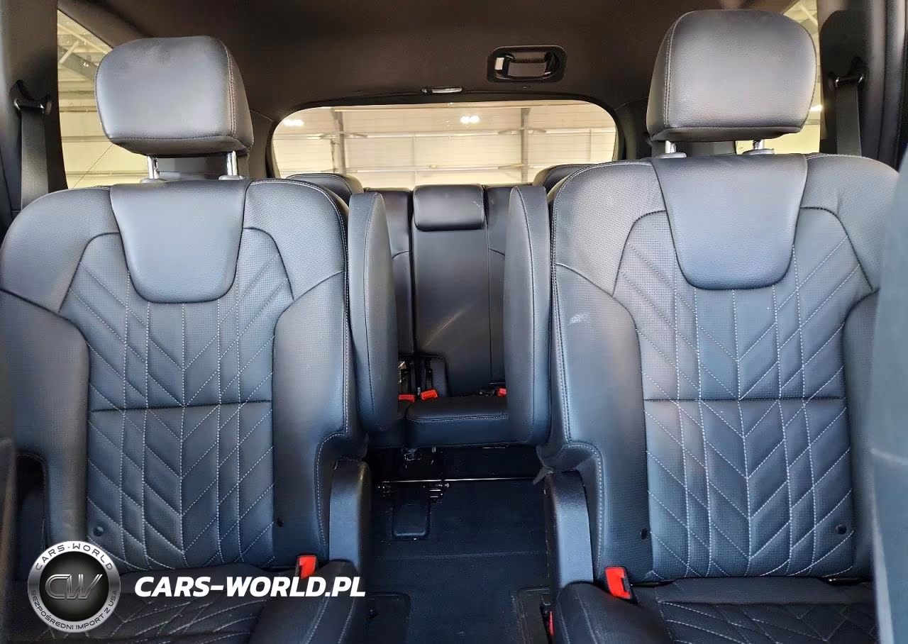 2023 Kia Telluride Ex X-Line VIN:5XYP3DGCXPG363780 - 10