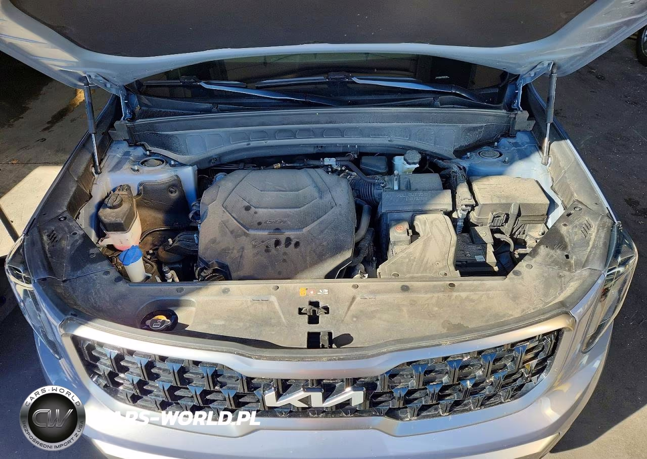 2023 Kia Telluride Ex X-Line VIN:5XYP3DGCXPG363780 - 12