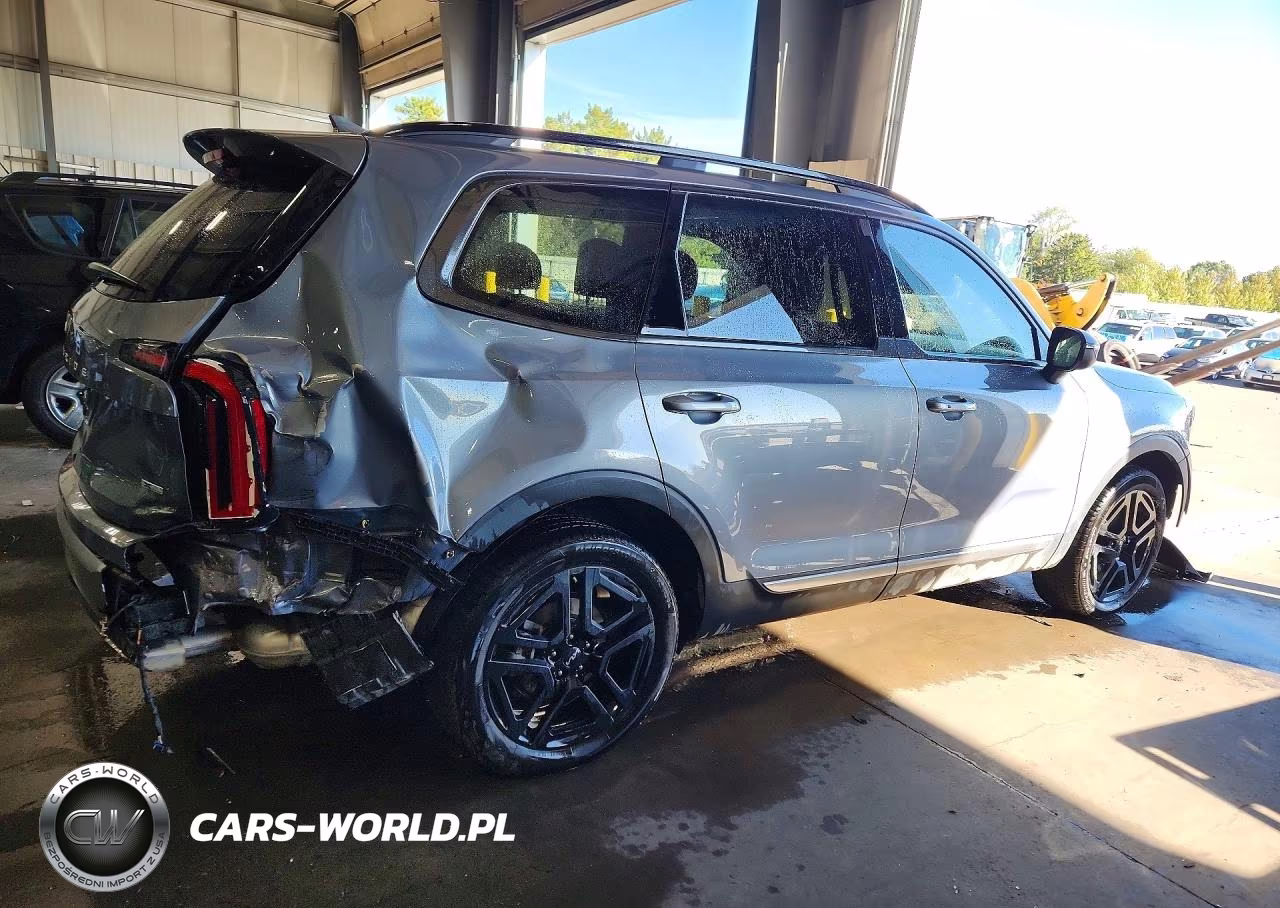 2023 Kia Telluride Ex X-Line VIN:5XYP3DGCXPG363780 - 3