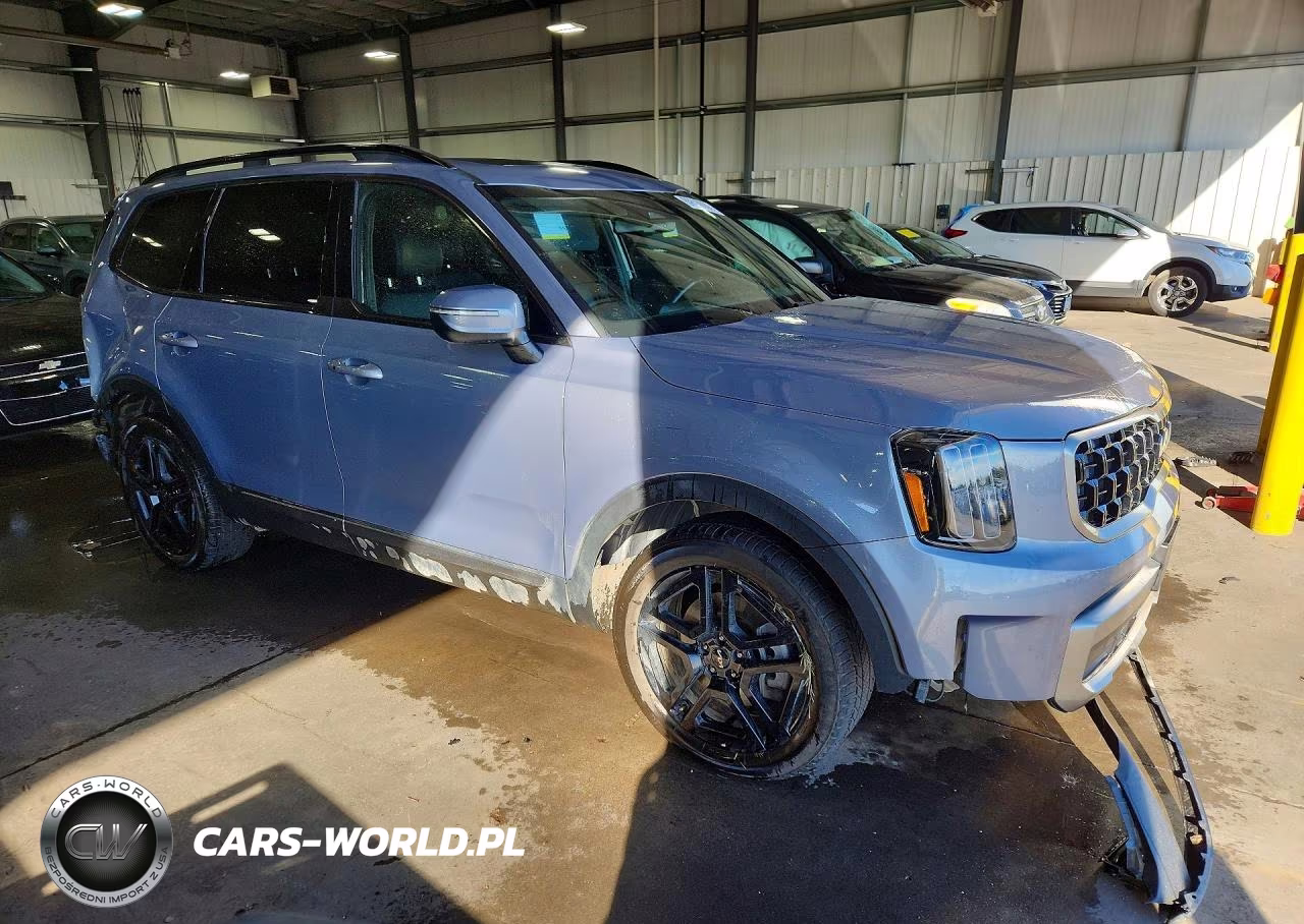 2023 Kia Telluride Ex X-Line VIN:5XYP3DGCXPG363780 - 4