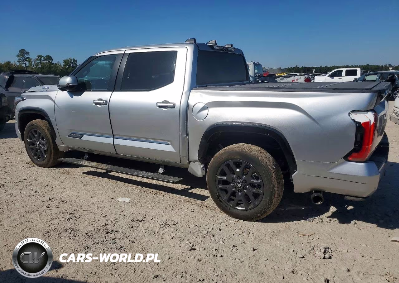 2026 Toyota Tundra Platinum VIN:5TFNC5DB4TX1328XX - 2