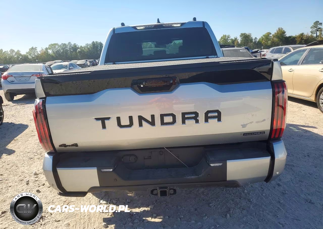 2026 Toyota Tundra Platinum VIN:5TFNC5DB4TX1328XX - 6