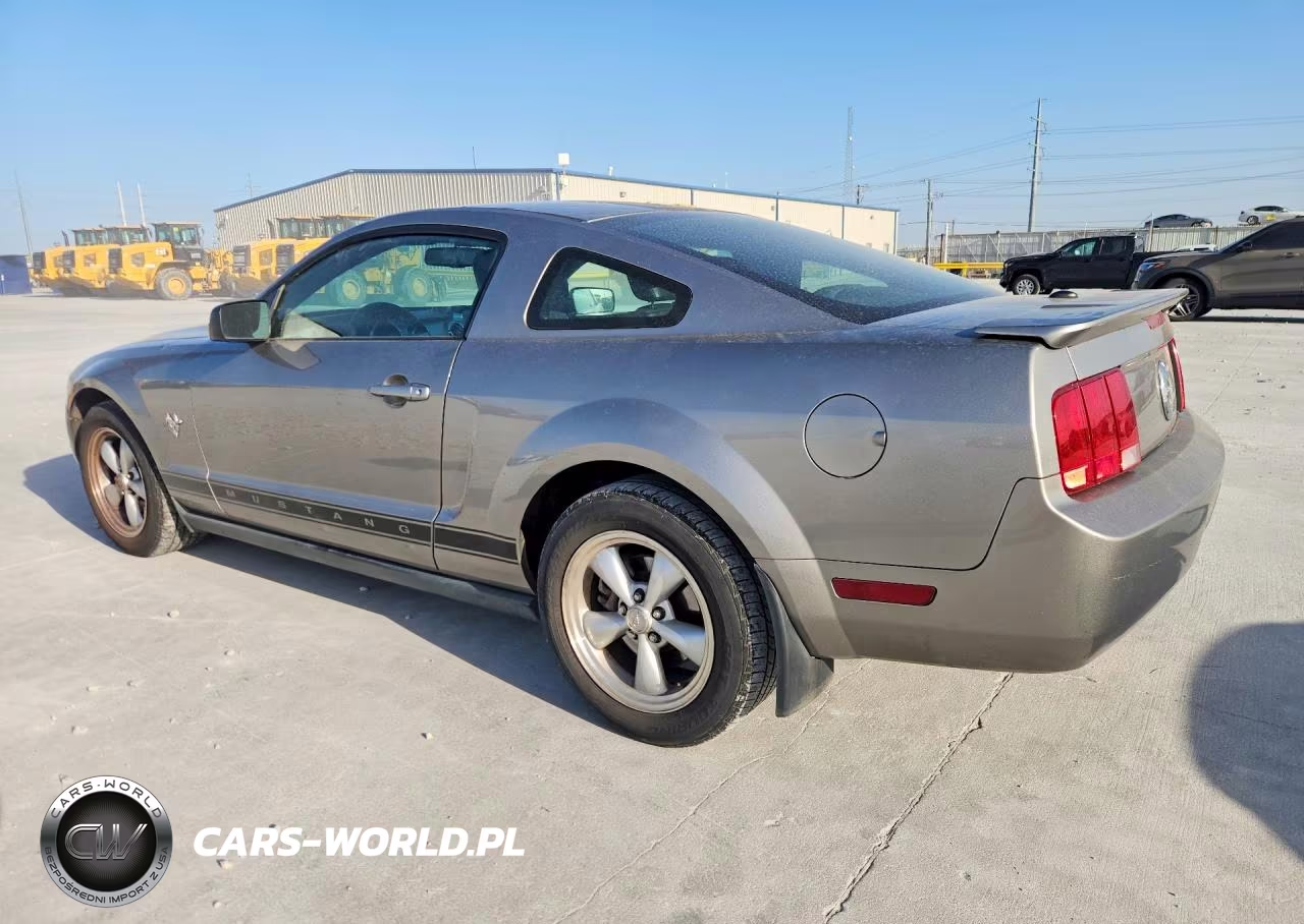 2009 Ford Mustang VIN:1ZVHT80N595111306 - 2