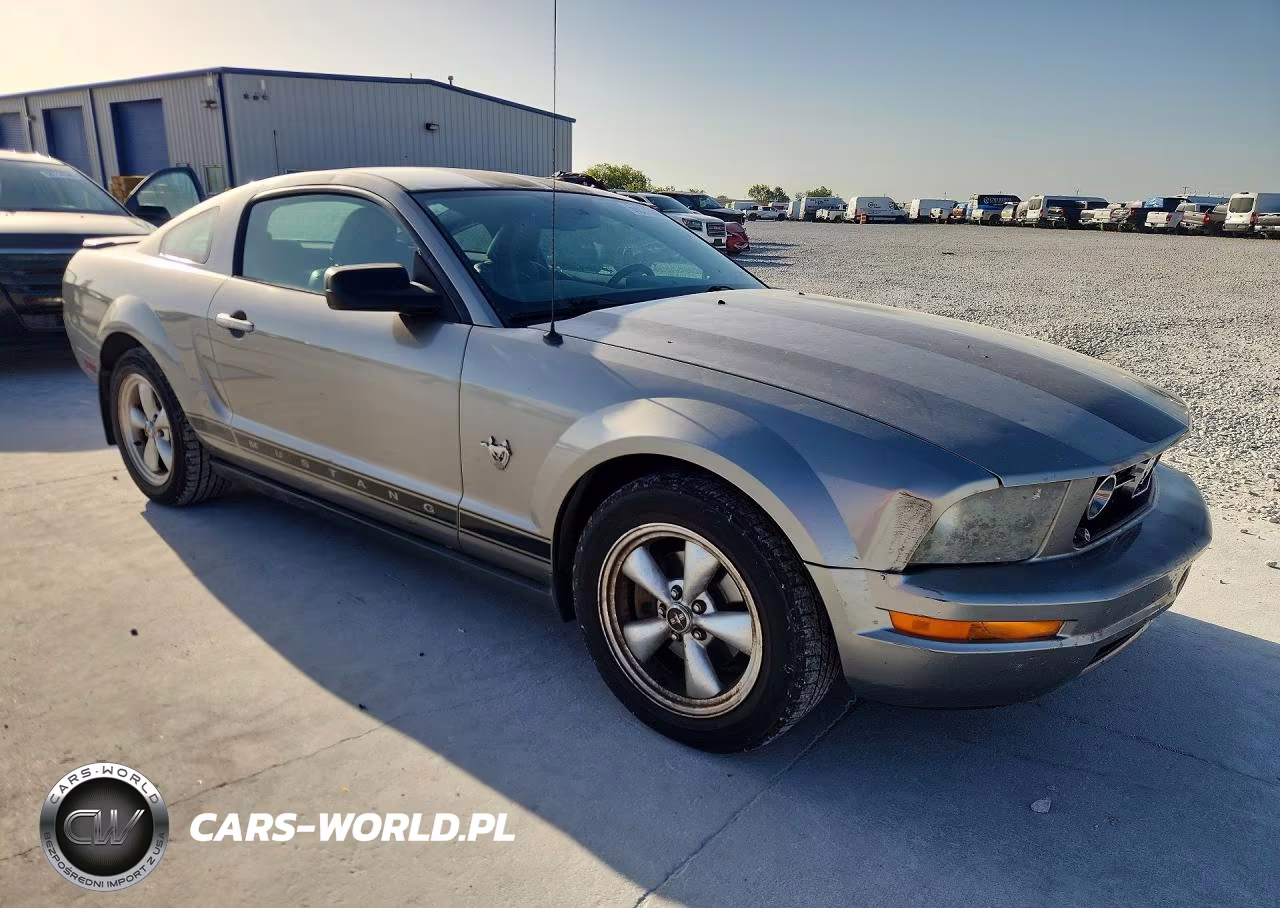 2009 Ford Mustang VIN:1ZVHT80N595111306 - 4