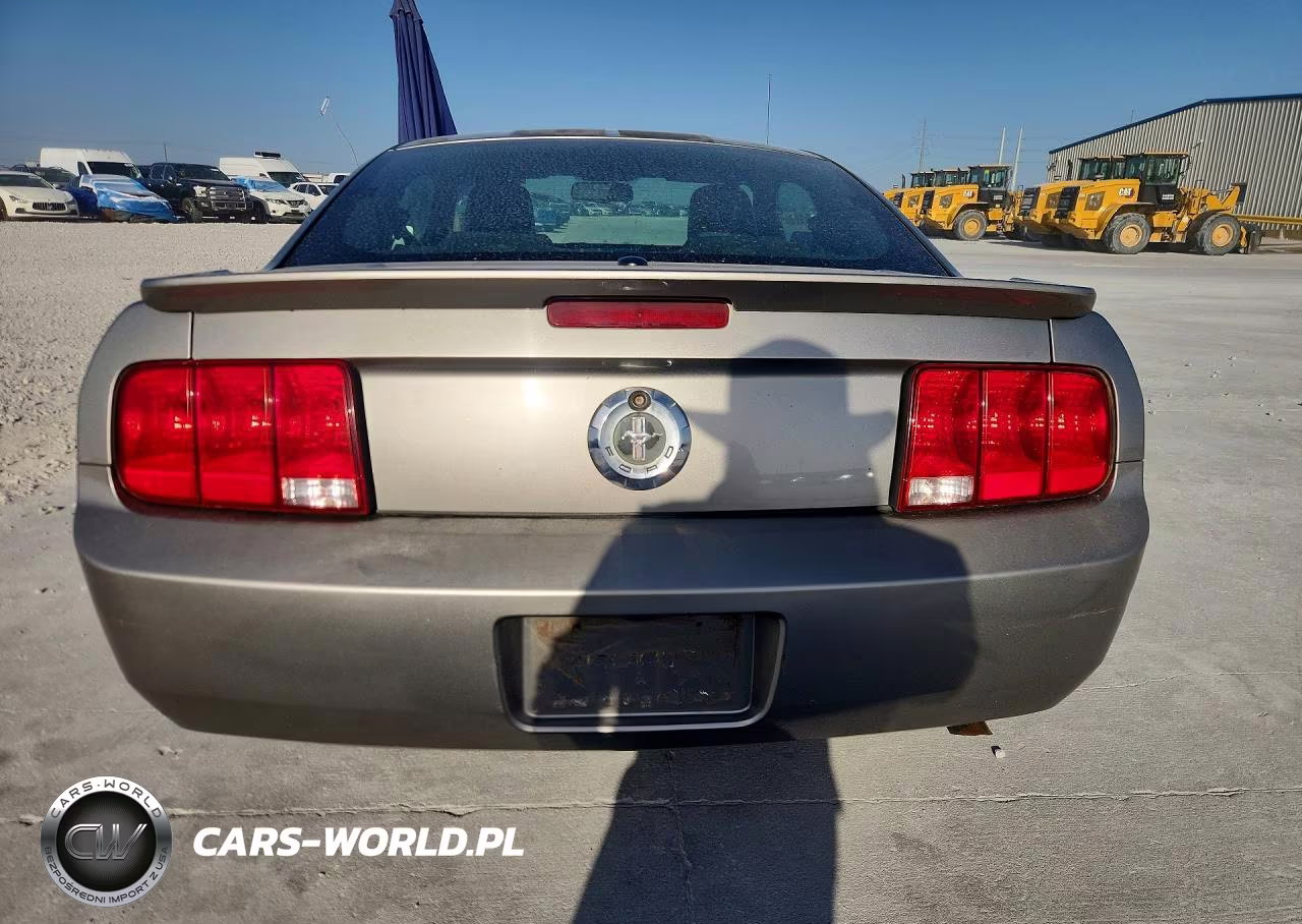 2009 Ford Mustang VIN:1ZVHT80N595111306 - 6