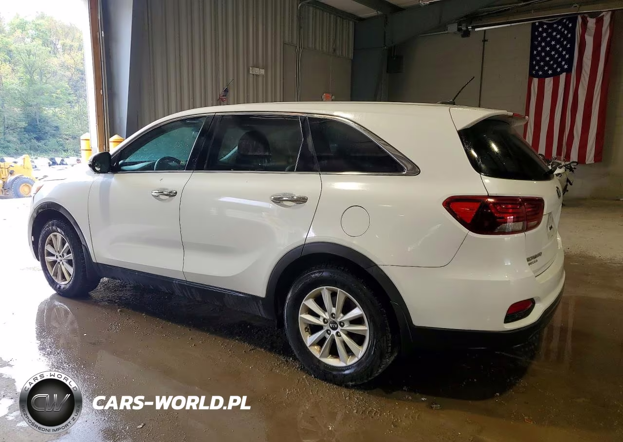 2019 Kia Sorento Lx VIN:5XYPG4A32KG510129 - 2