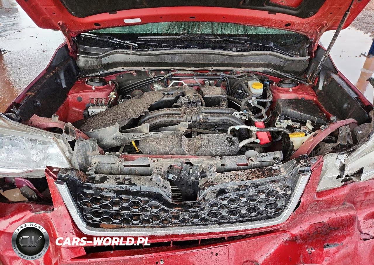 2014 Subaru Forester 2.5I Premium VIN:JF2SJAEC7EH461320 - 12