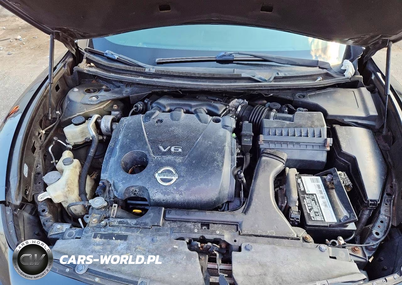 2013 Nissan Maxima 3.5 S VIN:1N4AA5AP1DC815103 - 11