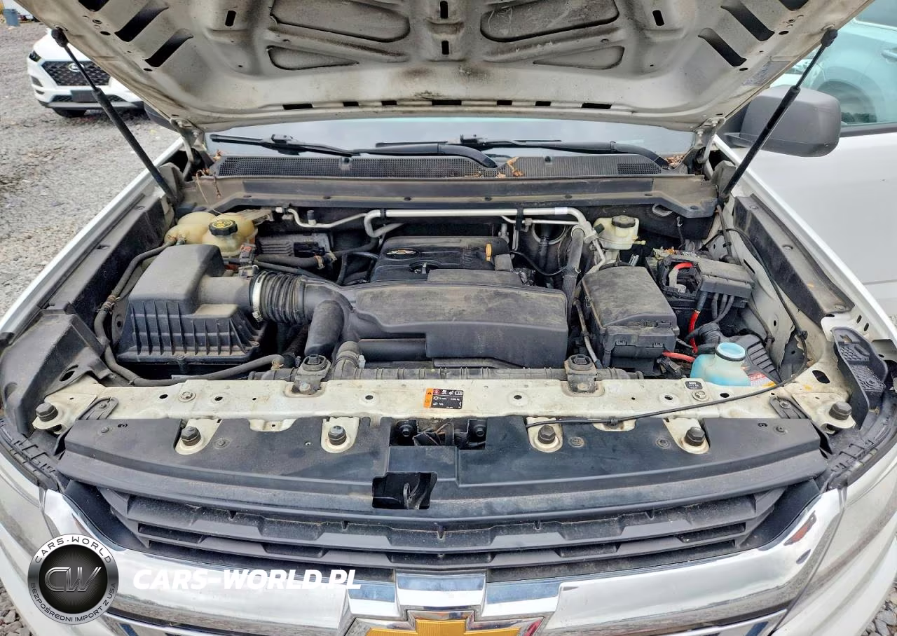 2016 Chevrolet Colorado VIN:1GCHSBEA4G1395492 - 11
