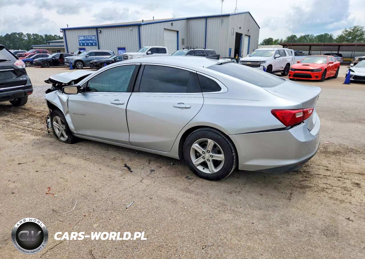 2019 Chevrolet Malibu VIN:1G1ZB5ST3KF173834 - 2