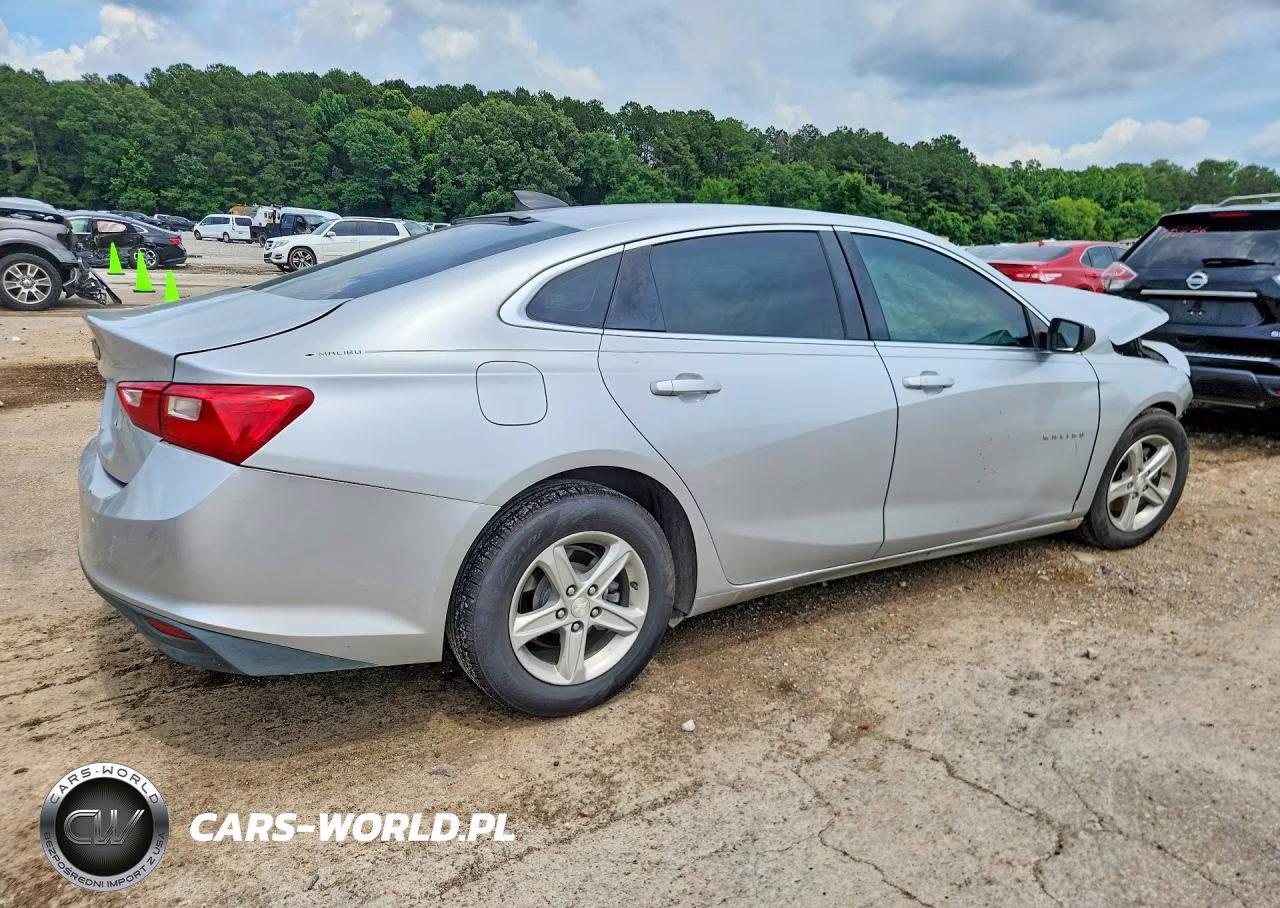 2019 Chevrolet Malibu VIN:1G1ZB5ST3KF173834 - 3