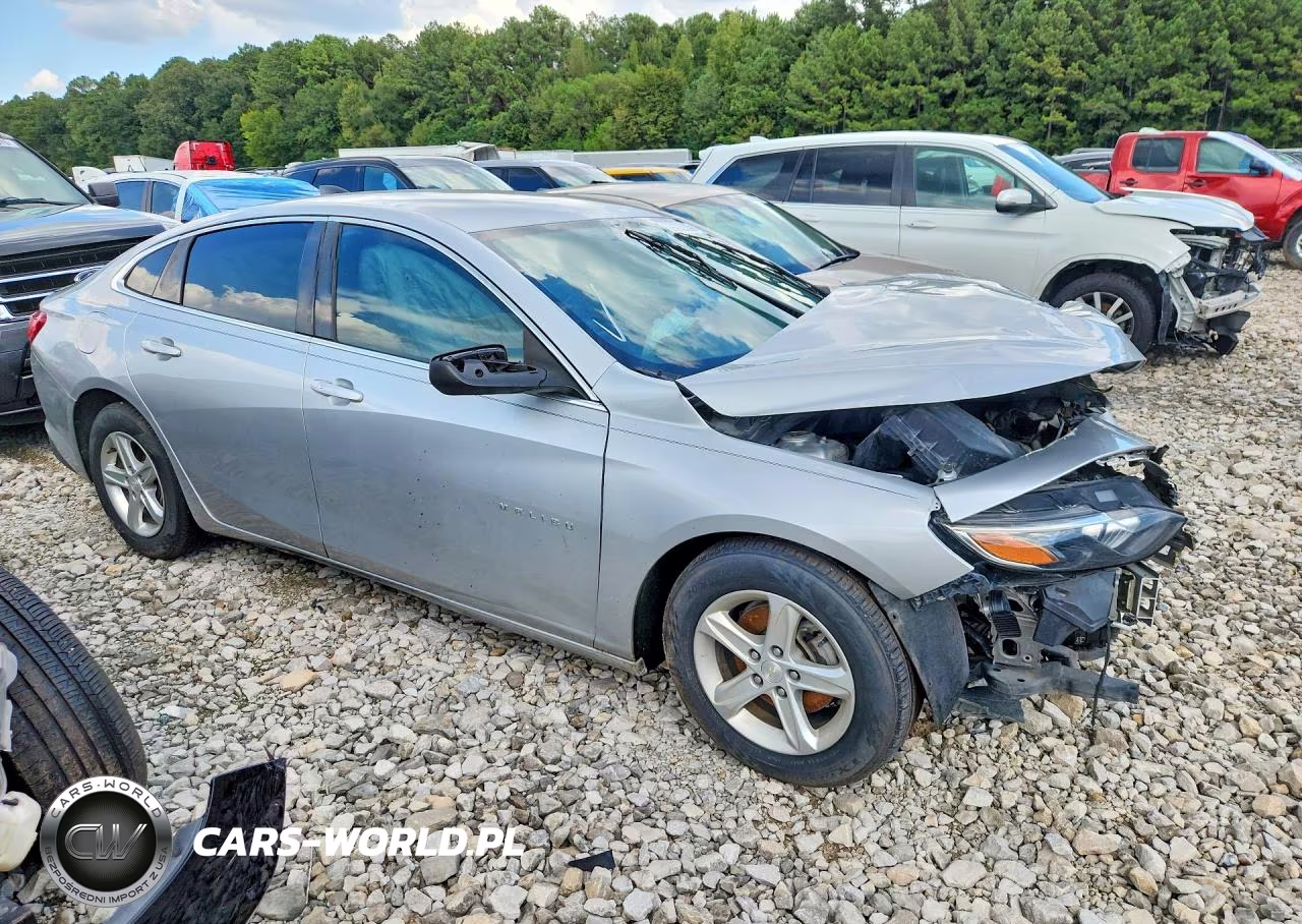 2019 Chevrolet Malibu VIN:1G1ZB5ST3KF173834 - 4