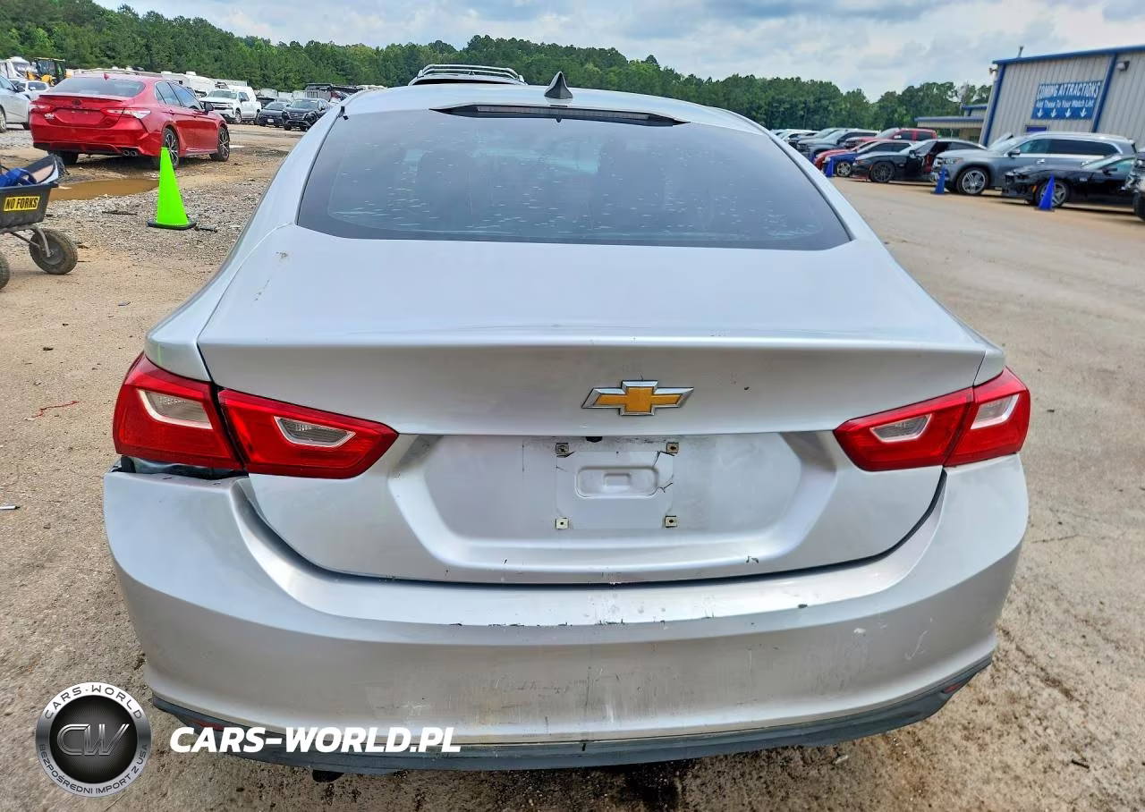2019 Chevrolet Malibu VIN:1G1ZB5ST3KF173834 - 6