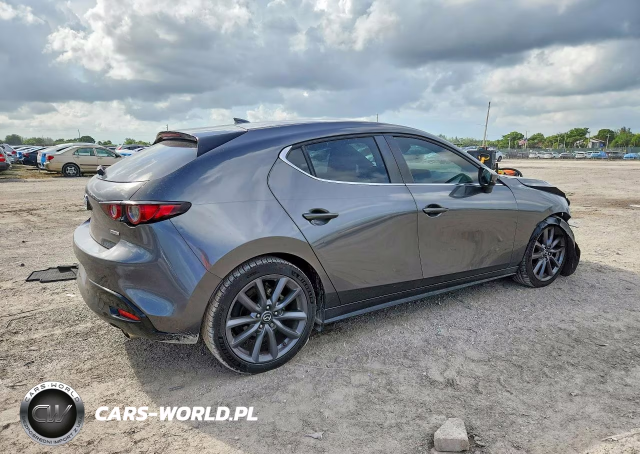 2019 Mazda 3 Preferred VIN:JM1BPAMM8K1146702 - 3