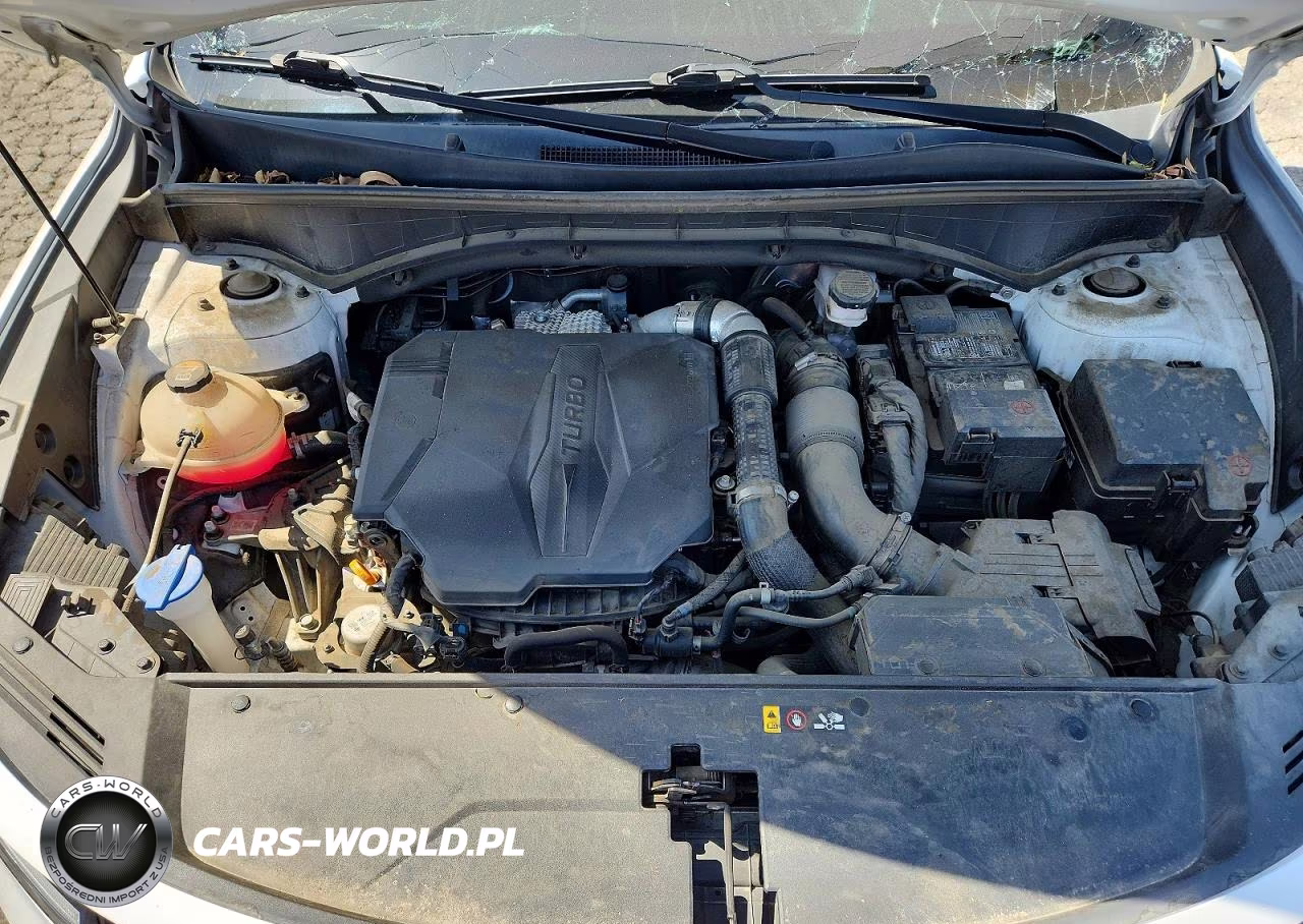 2023 Kia Sorento Sx VIN:5XYRK4LF5PG166379 - 11