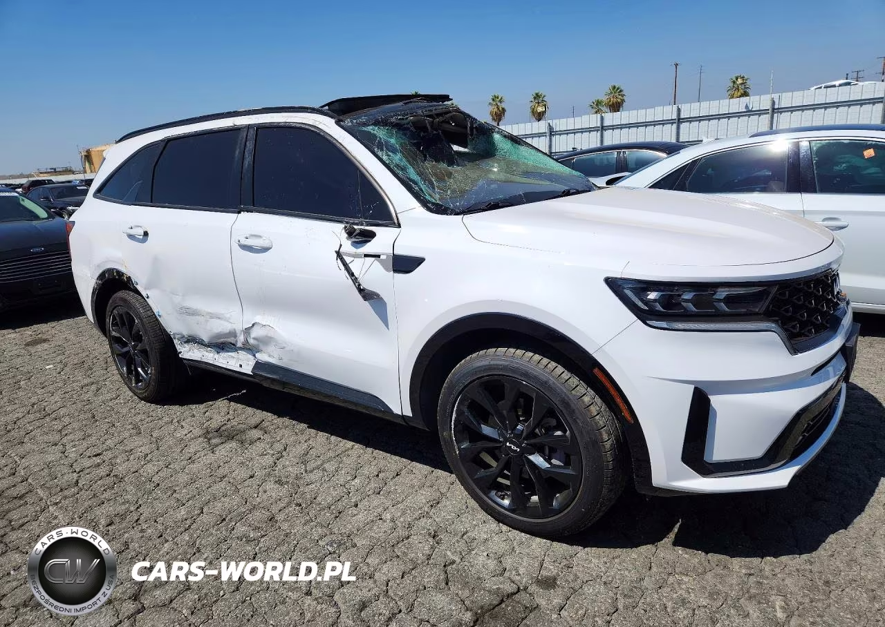 2023 Kia Sorento Sx VIN:5XYRK4LF5PG166379 - 4