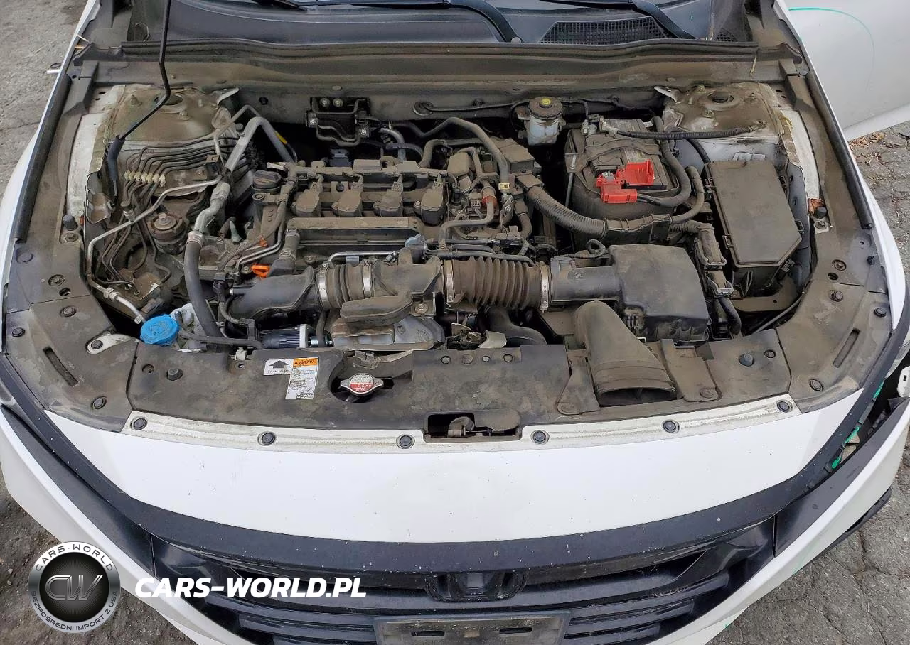 2019 Honda Accord Lx VIN:1HGCV1F15KA016990 - 11