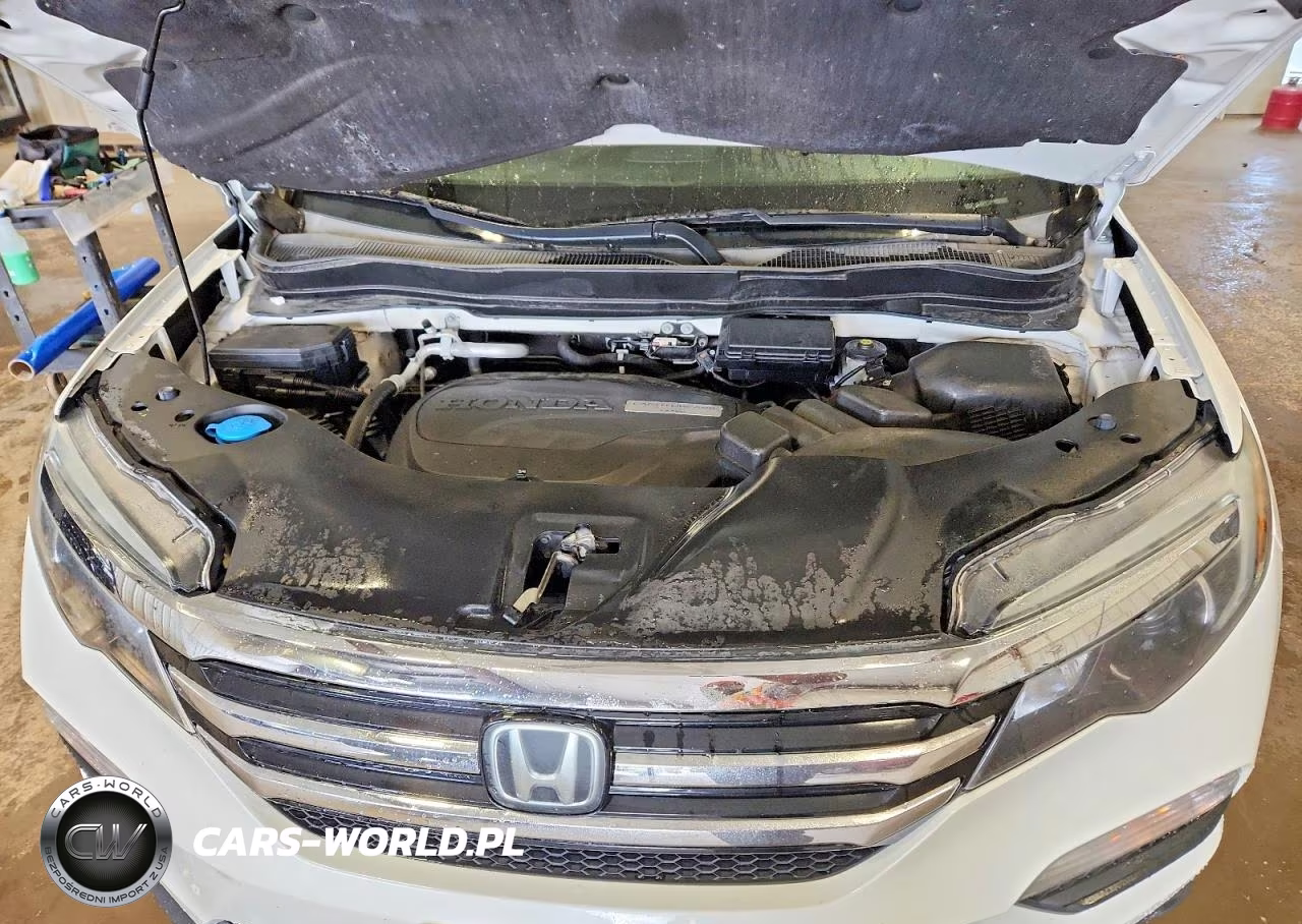 2018 Honda Pilot Elite VIN:5FNYF6H06JB014142 - 12