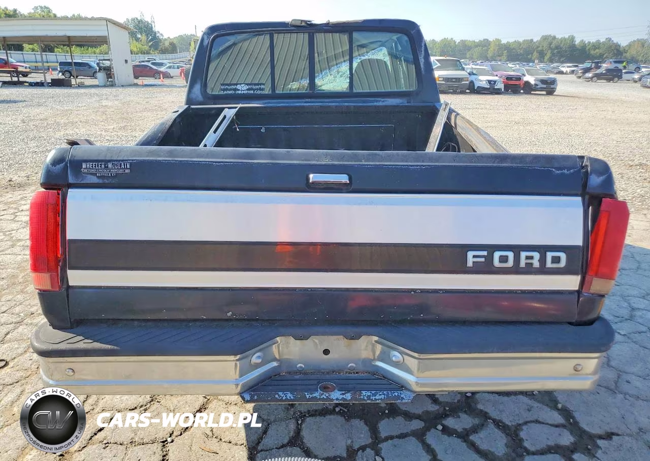 1995 Ford F150 VIN:1FTEX14HXSKB84703 - 6