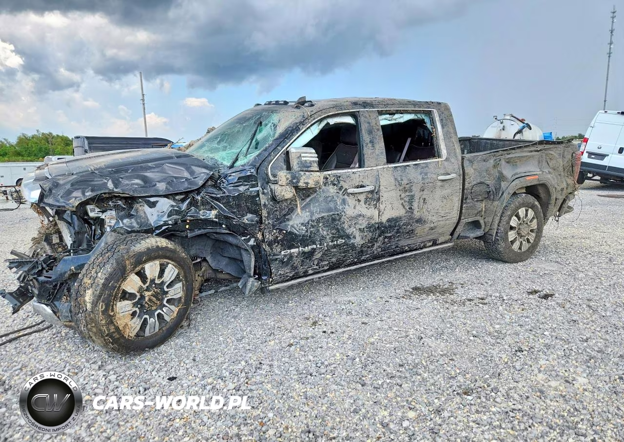2025 GMC Sierra K2500 Denali VIN:1GT4UREY8SF316254 - 1