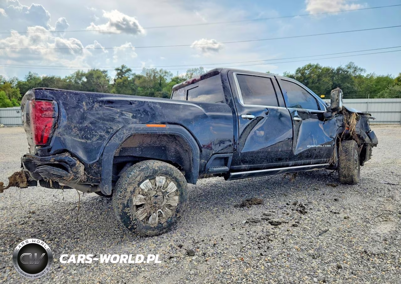 2025 GMC Sierra K2500 Denali VIN:1GT4UREY8SF316254 - 3