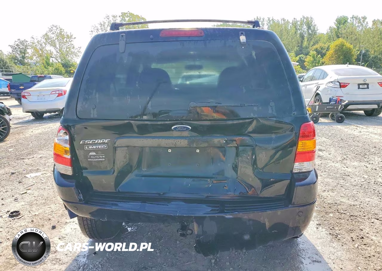 2003 Ford Escape Limited VIN:1FMCU941X3KB79631 - 6