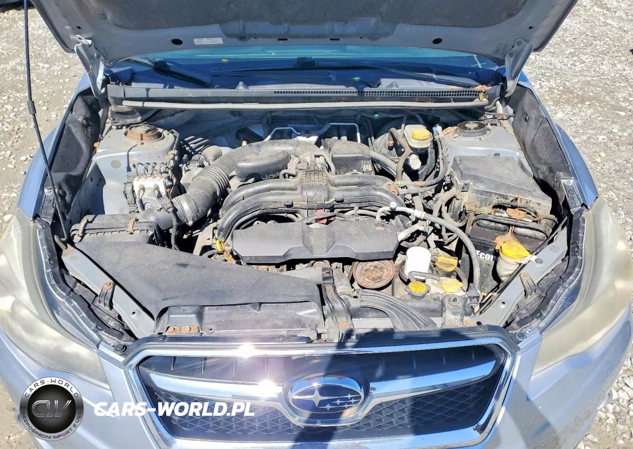 2013 Subaru Xv Crosstrek 2.0 Premium VIN:JF2GPACC1D2843206 - 12