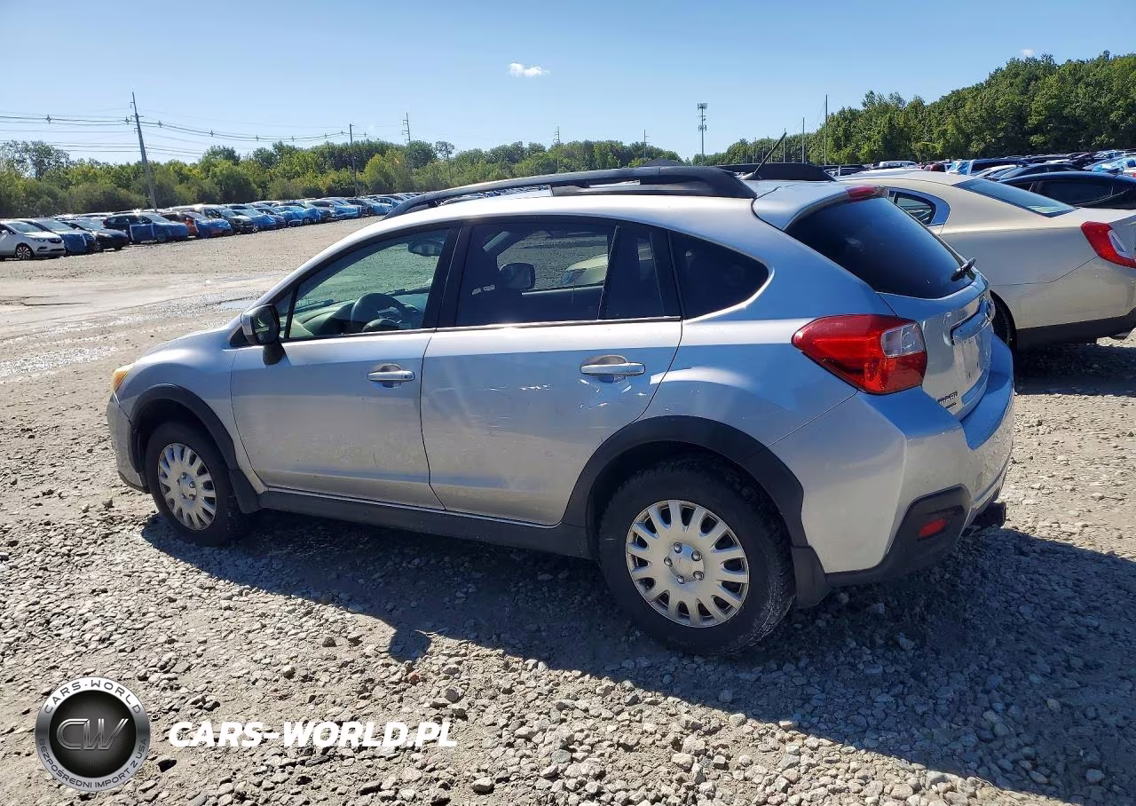 2013 Subaru Xv Crosstrek 2.0 Premium VIN:JF2GPACC1D2843206 - 2