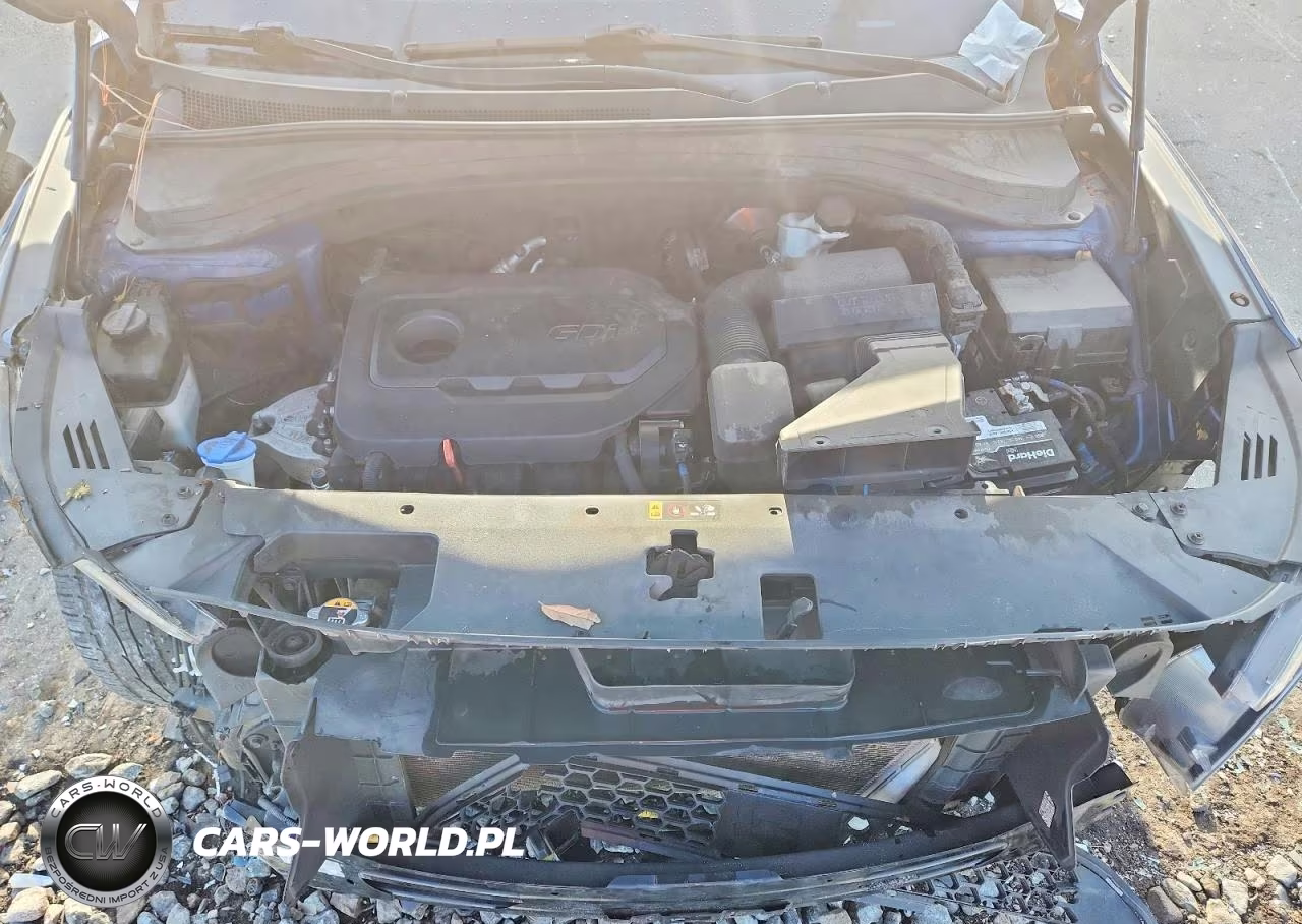 2020 Hyundai Santa Fe Sel VIN:5NMS33AD7LH166944 - 12