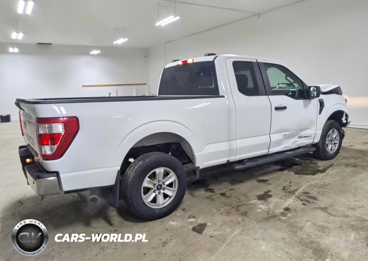 2023 Ford F150 Super Cab VIN:1FTEX1EP3PFB49961 - 3