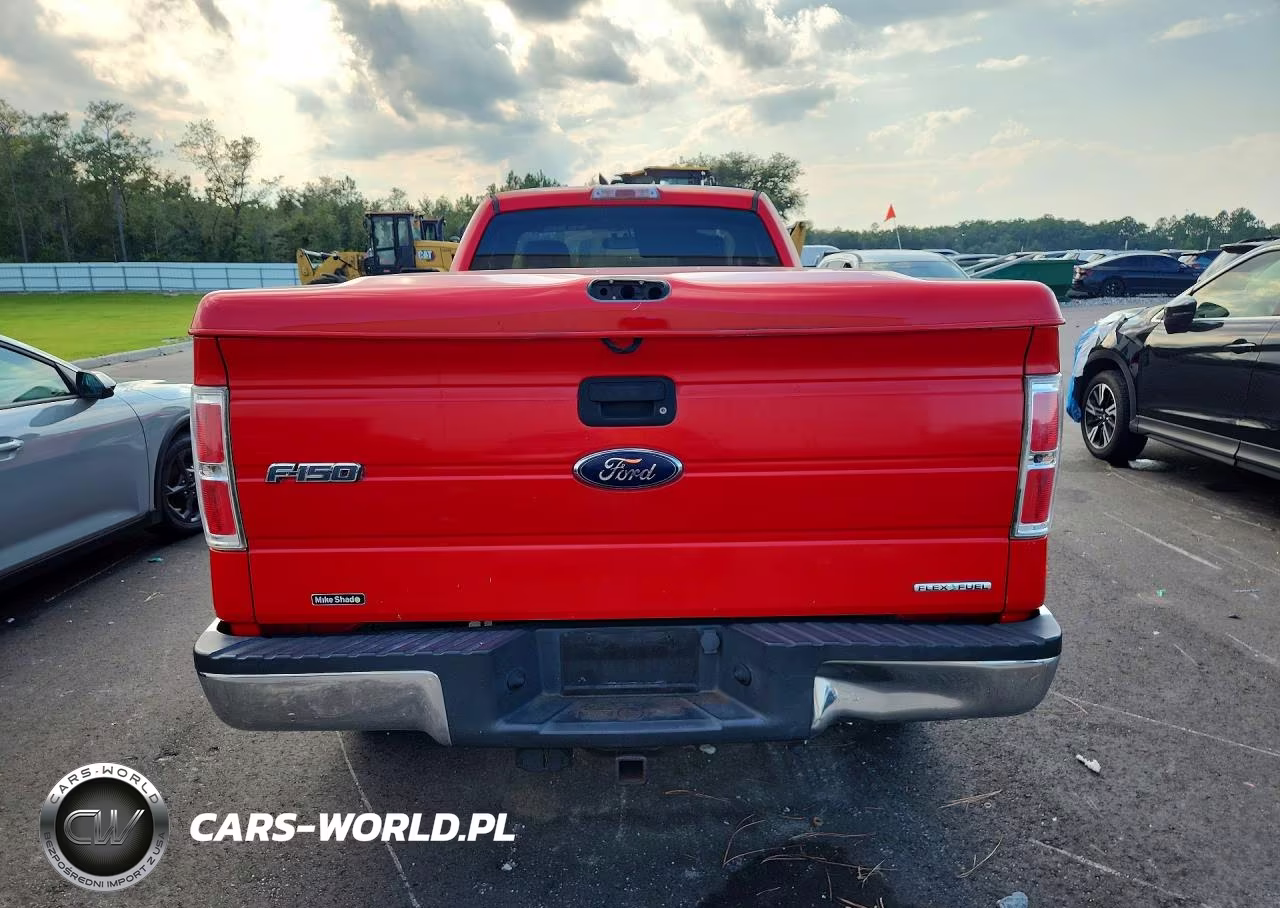 2012 Ford F-150 VIN:1FTMF1CM4CKE14394 - 6