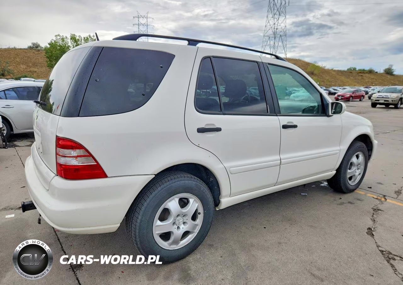2002 Mercedes-Benz Ml 320 VIN:4JGAB54E52A355594 - 3