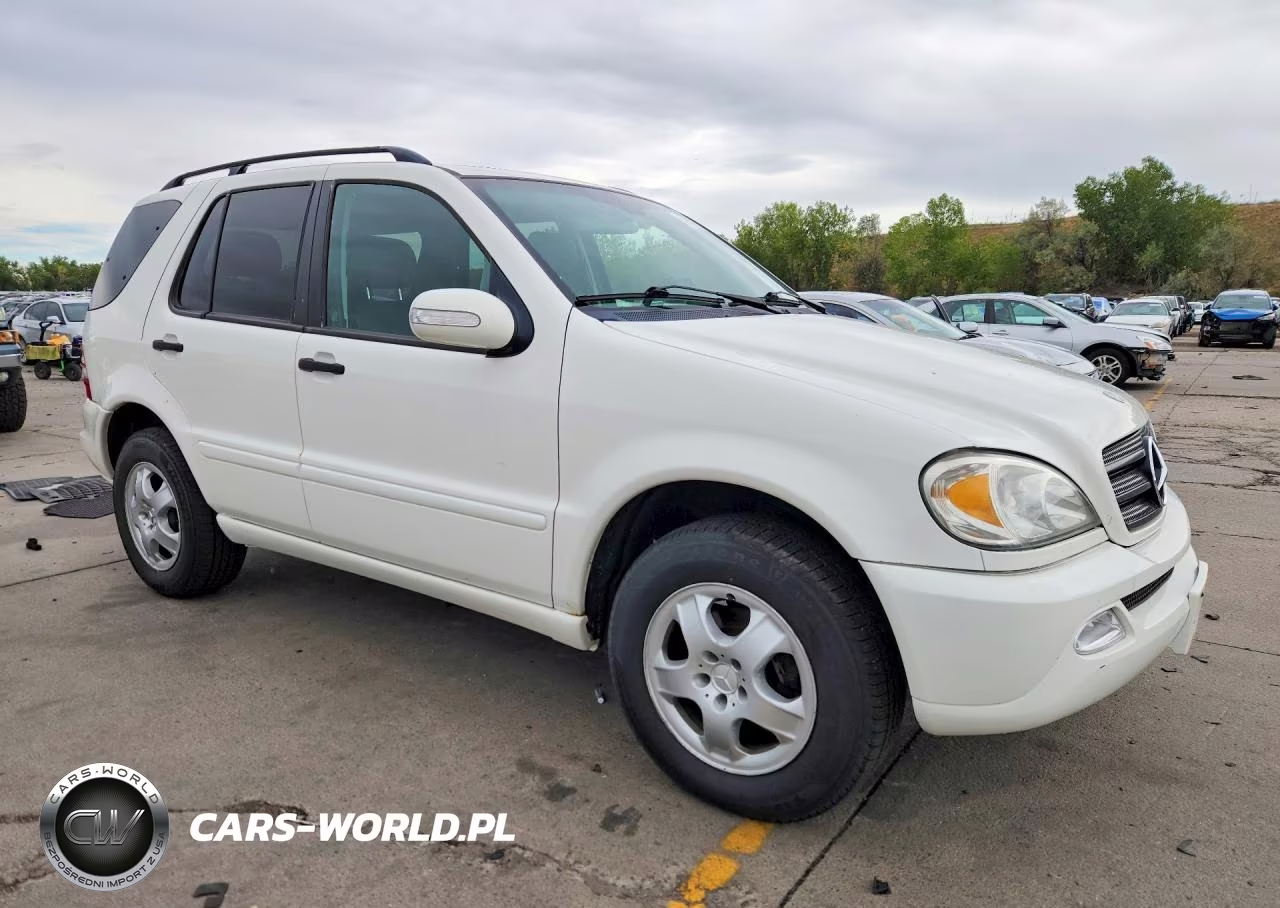 2002 Mercedes-Benz Ml 320 VIN:4JGAB54E52A355594 - 4