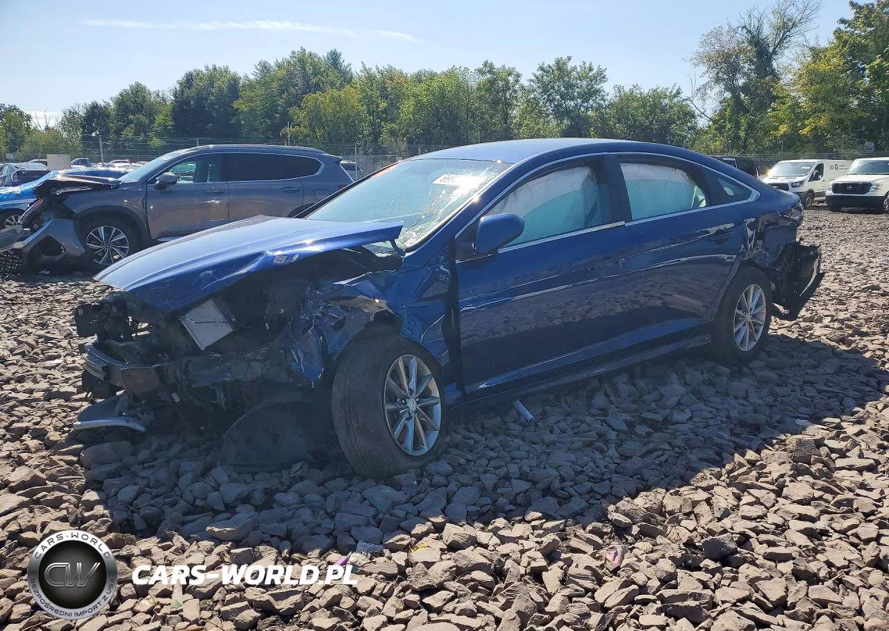 2019 Hyundai Sonata Se VIN:5NPE24AF2KH748569 - 1