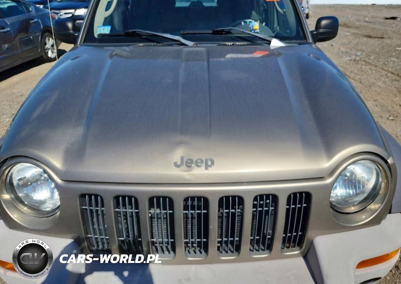 2004 Jeep Liberty Sport VIN:1J4GL48K44W315710 - 12